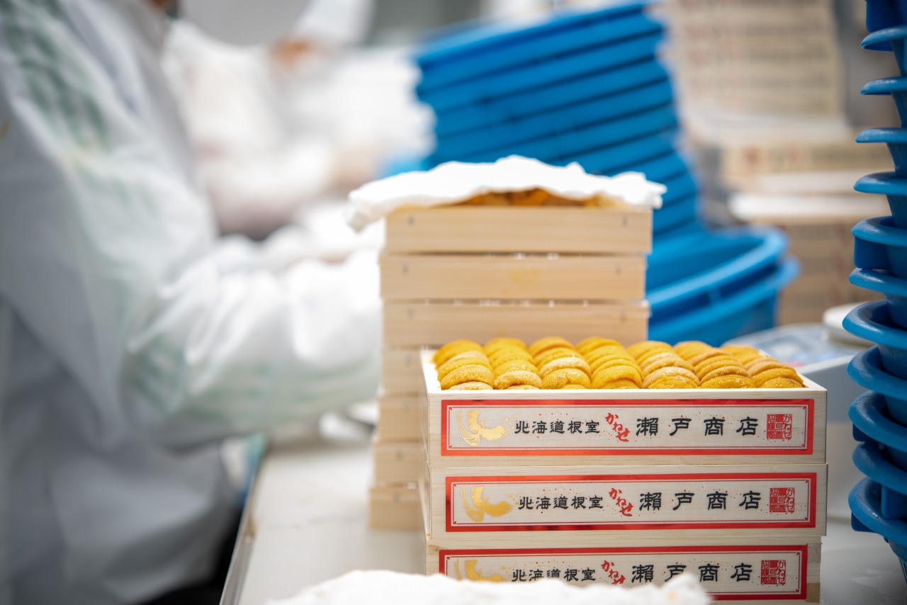 折を化粧箱に収める仕上げ工程