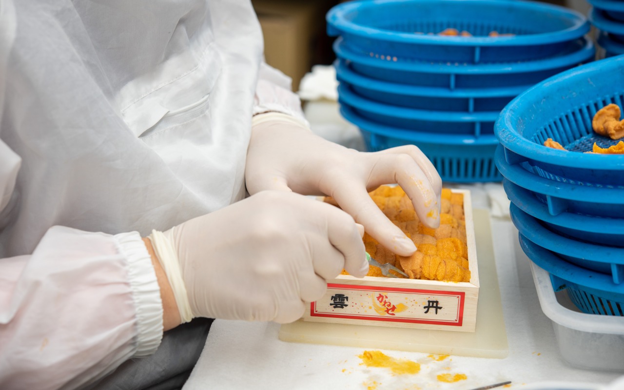 一粒ずつうにを並べる職人の手元